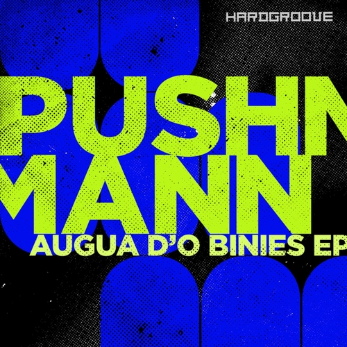 PUSHMANN - Augua Do Binies EP [HARDGROOVEDIGI016]